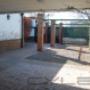 Subido por visitante en 13/9/2016