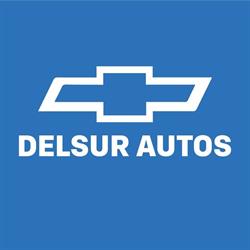 Del Sur Autos Sa