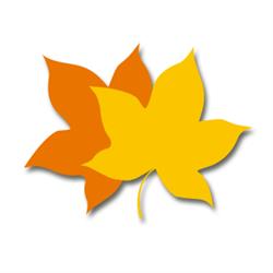 Maple Rosario S.a