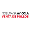 Noelma SA - Avicola - Venta de Pollos