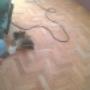 Subido por visitante en 9/6/2016