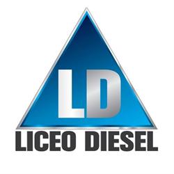 Liceo Diesel - Reparac Equipo de Inyeccion Bosch - Delphi