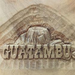 Aserradero Guatambu S.a