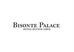 Hotel Bisonte Palace