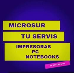 Microsur - Servicios Informáticos
