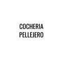 COCHERIA PELLEJERO