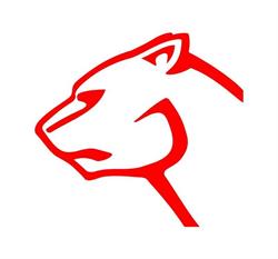 El Puma Camping - Armas - Pesca
