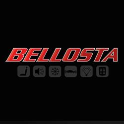 Bellosta Polarizado - Audio - Alarma - Tapiceria