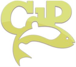 CENTRAL DE PESCA - RIFLES DE AIRE COMPRIMIDO