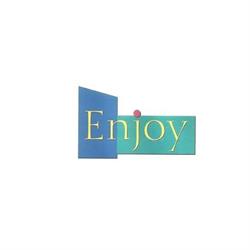 Enjoy SRL