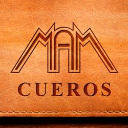 Cueros Mam Limpieza Renovacion
