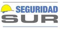 Seguridad Sur