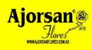 Ajorsan Flores