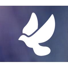 IGLESIA EVANGELICA PENTECOSTAL