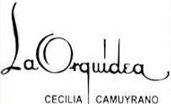 Arquidea