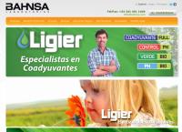 Sitio web de Bahnsa S.A. productos quimicos