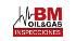 B.m. Inspecciones S.r.l