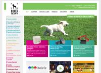 Sitio web de Boxer Security