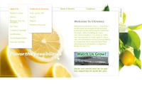 Sitio web de Citromax S.a.c. E I