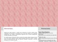 Sitio web de CLAMIL S.R.L. Nails & More