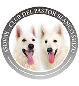 club argentino del pastor blanco suizo