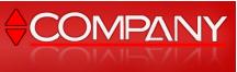 Company S r l