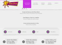 Sitio web de Estudio De Danzas Y Arte Reina Reech