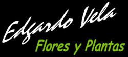 Edgardo Vela Flores Y Plantas