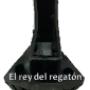 Regaton escalera plegable