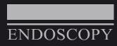 Endoscopy S r l