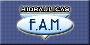 Hidraulica f a m Automotores