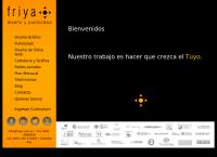 Friya Soluciones Visuales e Informáticas