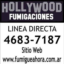 Hollywood Fumigaciones