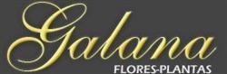 Galana Flores y Plantas