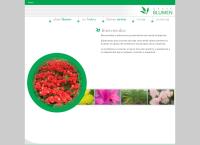 Sitio web de Grupo Blumen S.r.l
