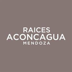 Hotel Aconcagua Hotel & Convention Center