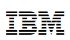 Ibm Business Consulting Services Company