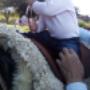 Subido por visitante en 1/4/2017