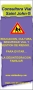 CONSULTORA VIAL SAINT JOHN