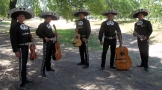 Mariachis Aguila Real de Buenos Aires