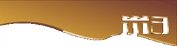 Metales Andreoli S a