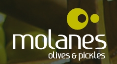 Molanes S.a