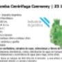 bombas centrifugas