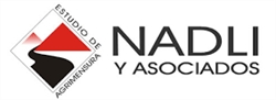 Agrimensores Nelva a de la Iglesia - Mariano R Sacido