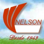 Aerosistemas Nelson