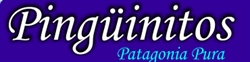 PINGUINITOS regalos y accecorios para bebés