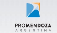 Pro - Mendoza Fundacion
