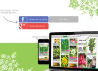Sitio web de Raizmadre diseño de jardines