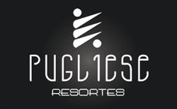 RESORTES PUGLIESE