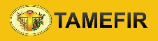 Tamefir S.c